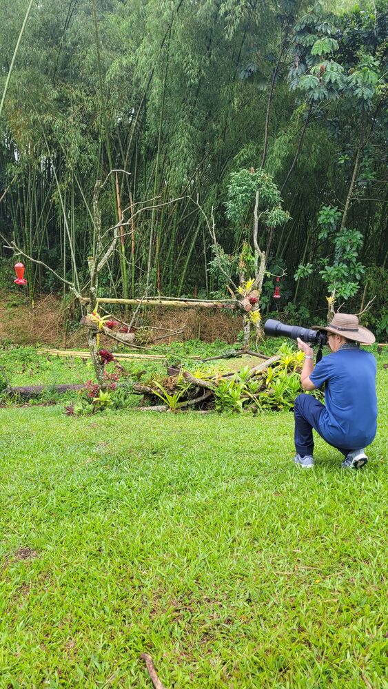 Fotógrafo en el hide para observar aves