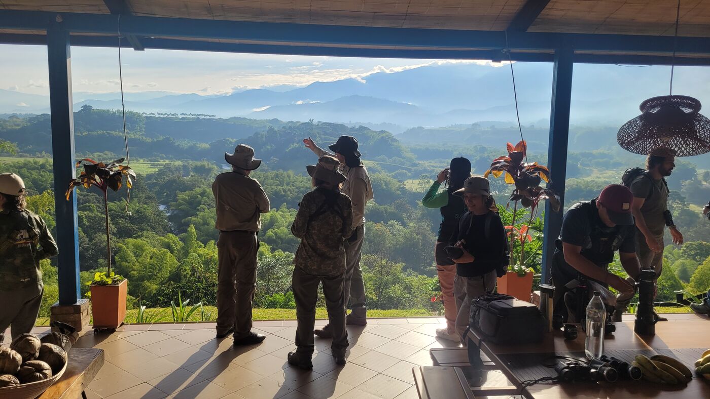 Observadores de aves al amanecer desde la casa