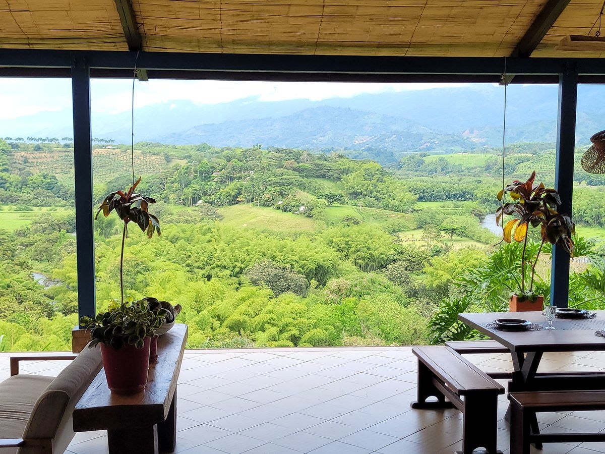La misma terraza hoy, con comedor, plantas y techo de esterilla