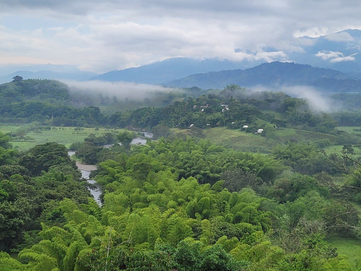 La misma vista hoy, con el valle cubierto de guaduales y bosque