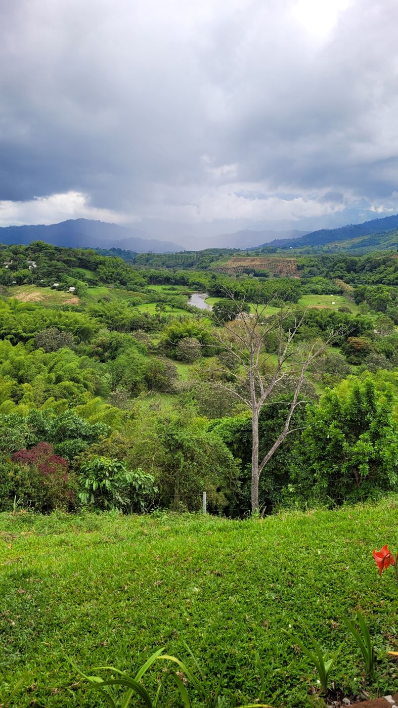 Paisaje del valle desde la reserva